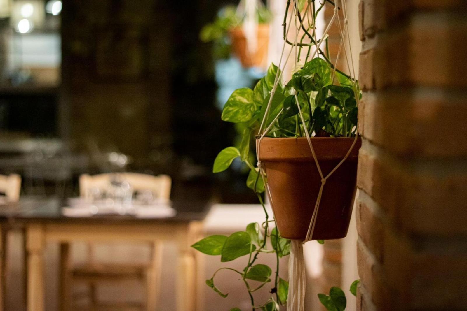 Agricola Casa Cucina Bottega Vila Cesena Exterior foto